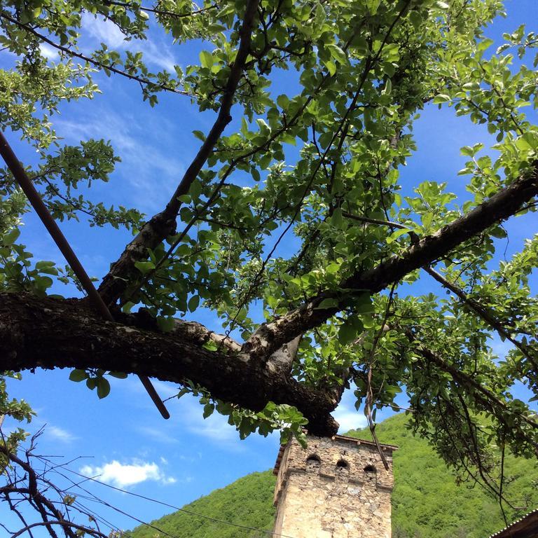 Guest House Chuta In Lagami Mestia Dış mekan fotoğraf
