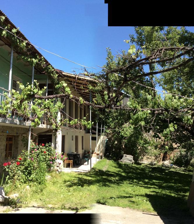 Guest House Chuta In Lagami Mestia Dış mekan fotoğraf